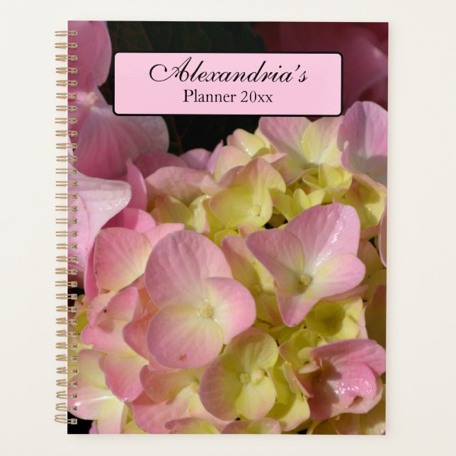 Crème rose Hydrangeas jaune rose vert floral (Devant)
