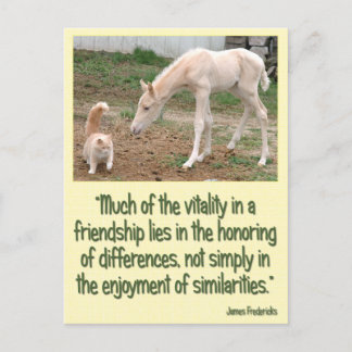 Cremello Companions Friendship Postcard