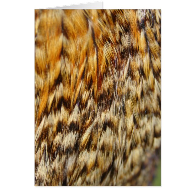 Creole Chicken Feathers (Front)