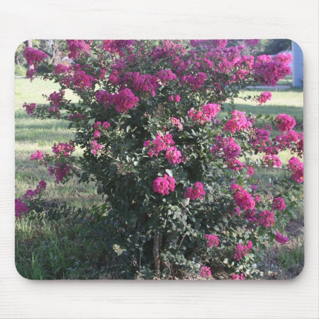 Crepe Myrtle Mouse Pad (Front)