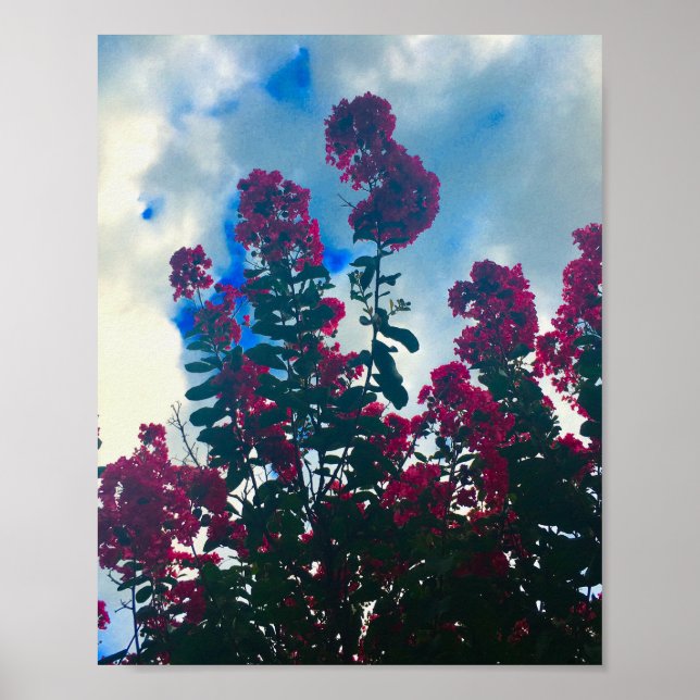 crepe myrtle on a cloudy day poster (Front)