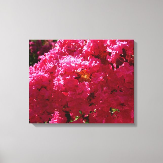 Crepe Myrtle Tree Magenta Floral Canvas Print (Front)