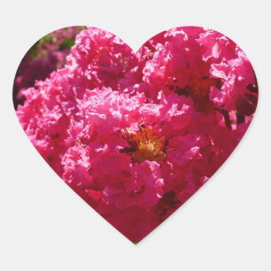 Crepe Myrtle Tree Magenta Floral Heart Sticker