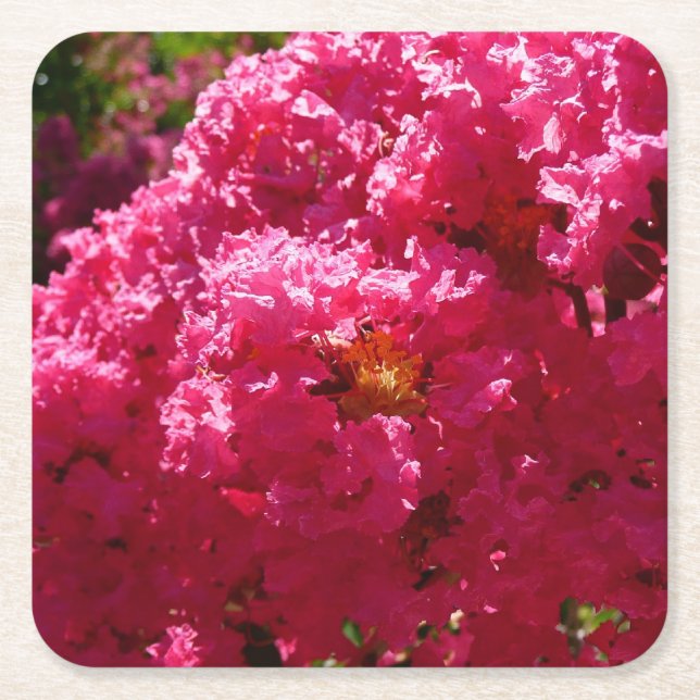 Crepe Myrtle Tree Magenta Floral Square Paper Coaster (Front)