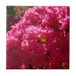 Crepe Myrtle Tree Magenta Floral Tile