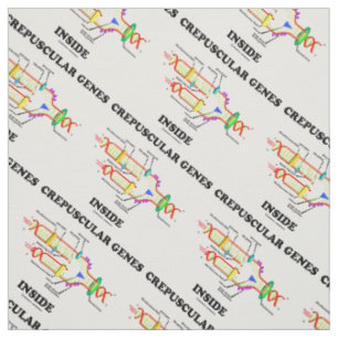 Crepuscular Genes Inside DNA Humour Fabric
