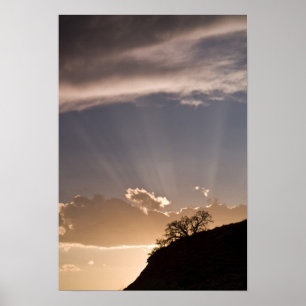 Crepuscular rays radiate across the sky at poster