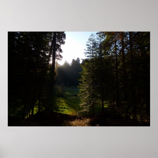 Crescent Meadow Morning at Sequoia National Park Poster (Front)