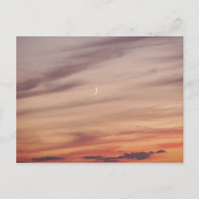 Crescent Moon at Dusk Postcard (Front)