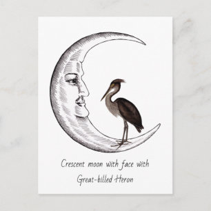 Crescent moon with face with Great-billed Heron Postcard