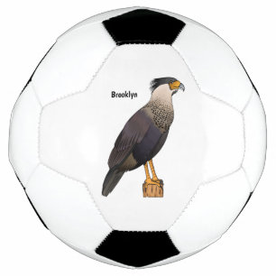 Crested caracara bird cartoon illustration soccer ball