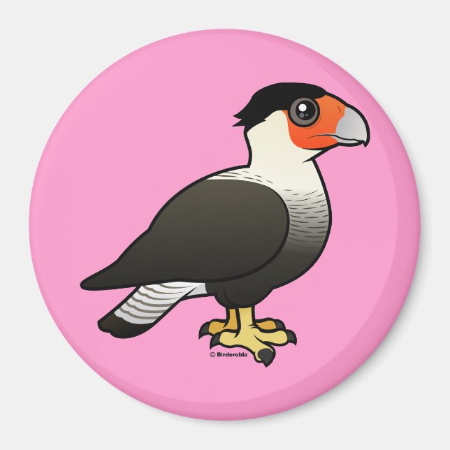 Crested Caracara Magnet (Front)