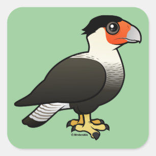 Crested Caracara Square Sticker