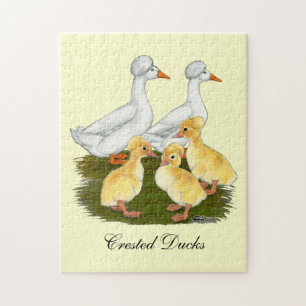 Crested Duck Family Jigsaw Puzzle