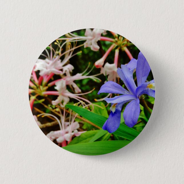 Crested Dwarf Iris 2 Inch Round Button (Front)