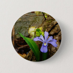 Crested Dwarf Iris blue purple white flower 2 Inch Round Button