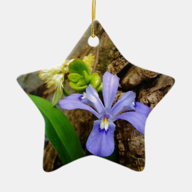 Crested Dwarf Iris blue purple white flower Ceramic Ornament (Front)