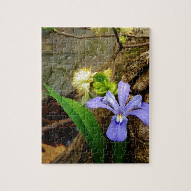 Crested Dwarf Iris blue purple white flower Jigsaw Puzzle (Vertical)