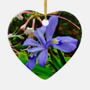 Crested Dwarf Iris Ceramic Ornament