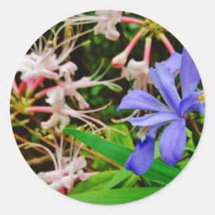 Crested Dwarf Iris Classic Round Sticker