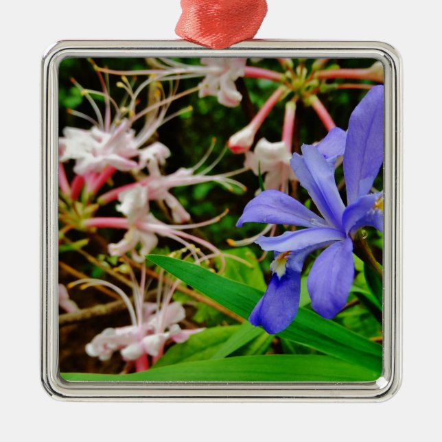 Crested Dwarf Iris Metal Ornament (Front)