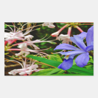 Crested Dwarf Iris Sticker