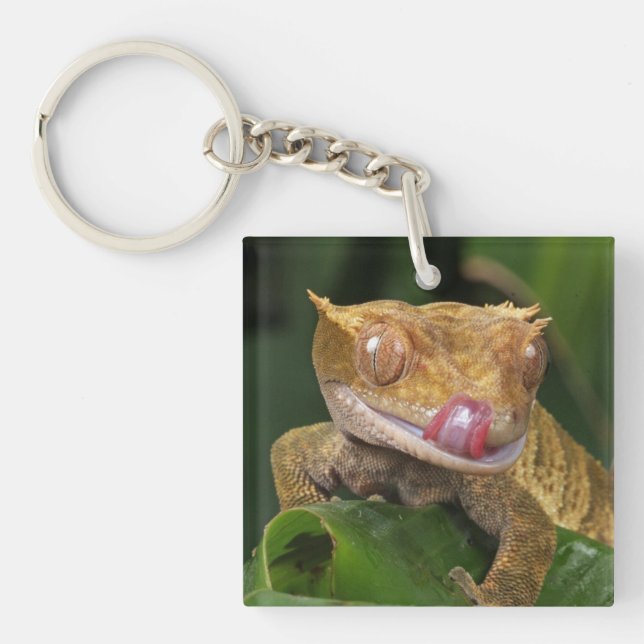 Crested Gecko Keychain (Front)