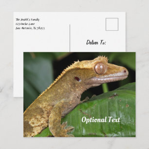 Crested Gecko on a Leaf Postcard