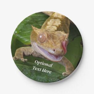 Crested Gecko Paper Plate
