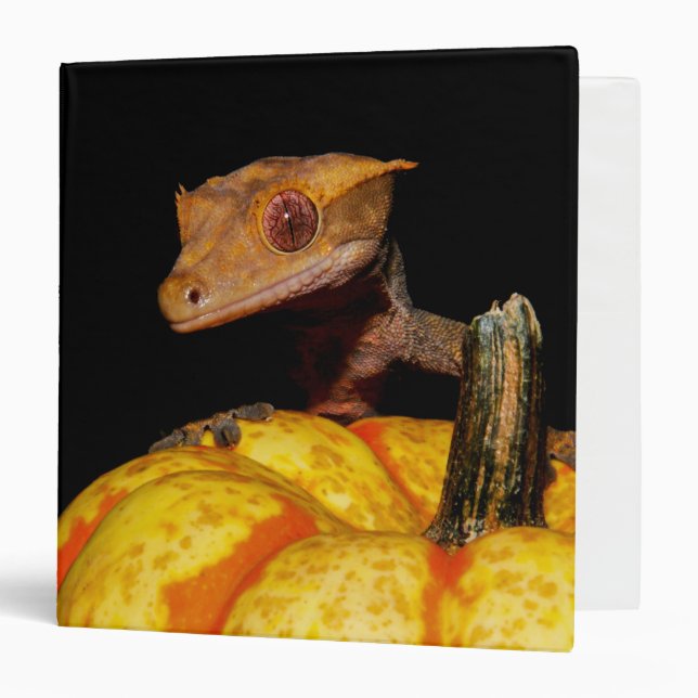 Crested Gecko Pumpkin Binder (Front/Inside)