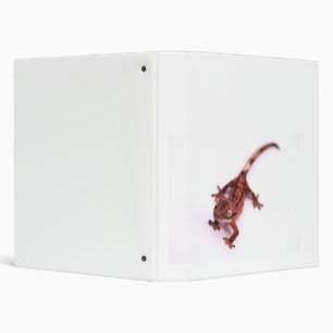 Crested Gecko Walking on an angle Binder