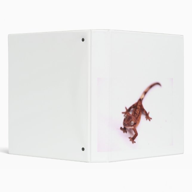 Crested Gecko Walking on an angle Binder (Background)