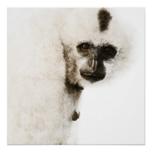 Crested Gibbon #1 Poster