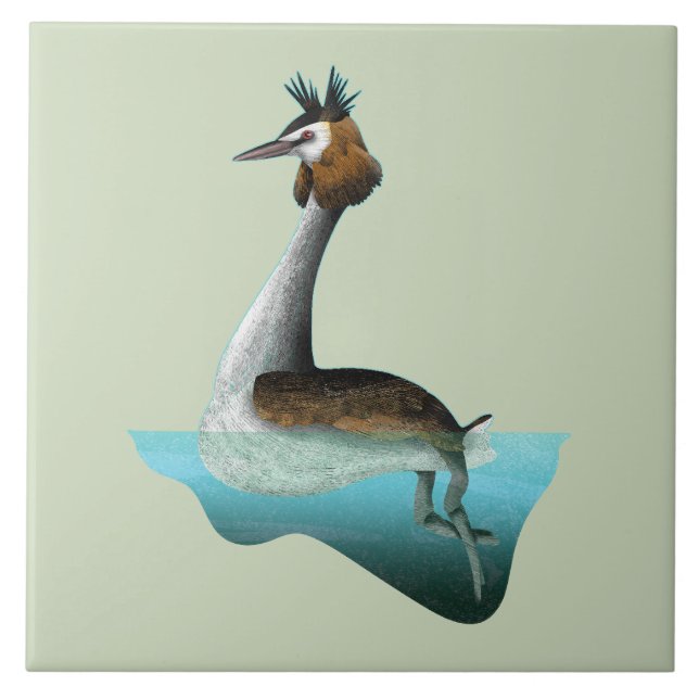 Crested Grebe Tile (Front)