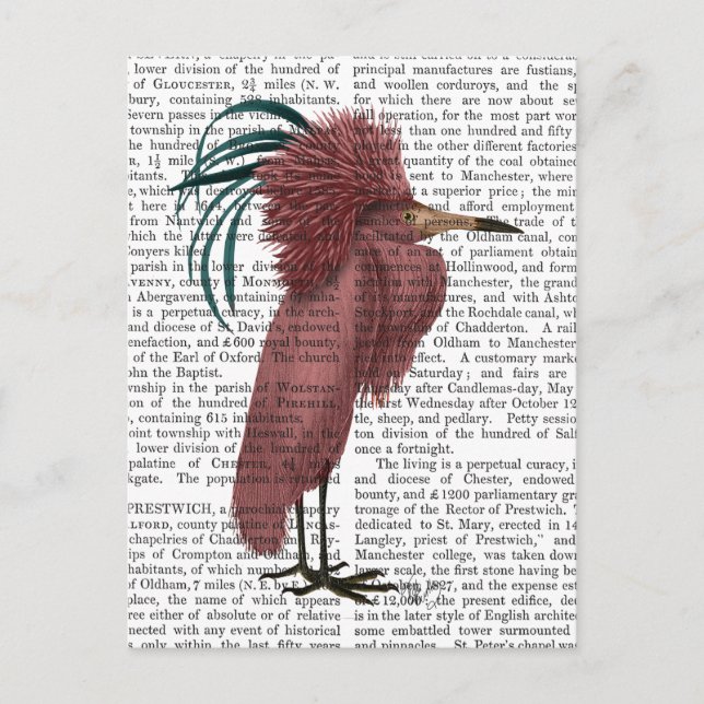 Crested Marsala Bird Postcard (Front)