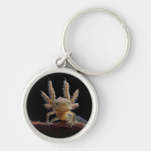 Crested newt larve keychain