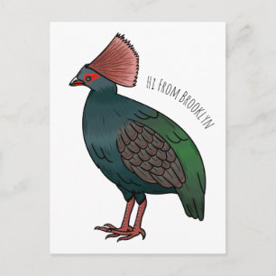 Crested partridge bird cartoon illustration  postcard
