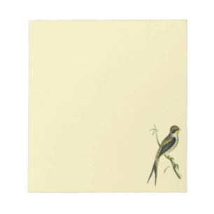 Crested Shortbill  Notepad