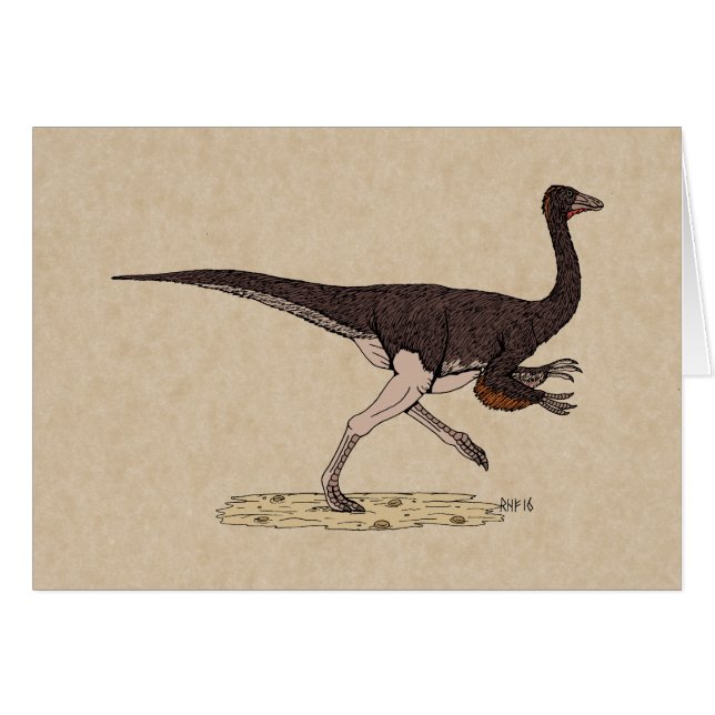Cretaceous Dinosaur Ornithomimus Card (Front Horizontal)