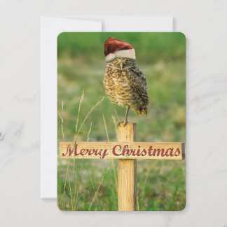 Creuser la carte de Noël de Père Noël de hibou