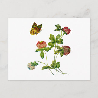 Crewel Embroidered Irish Clover Postcard
