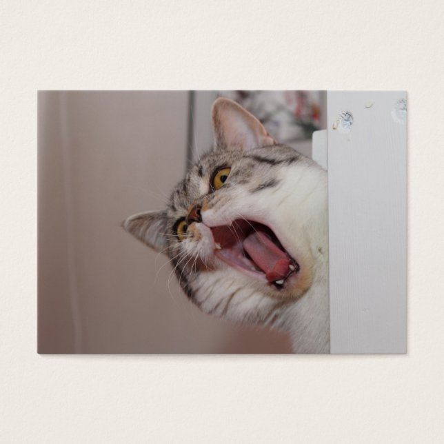 Criant British Shorthair (Devant)