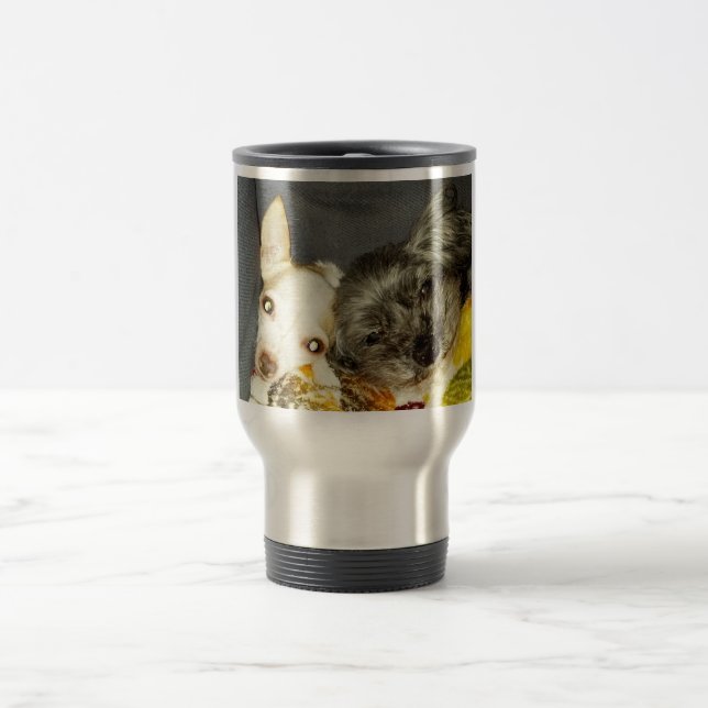 Cricket and Maybelline Mug (Center)