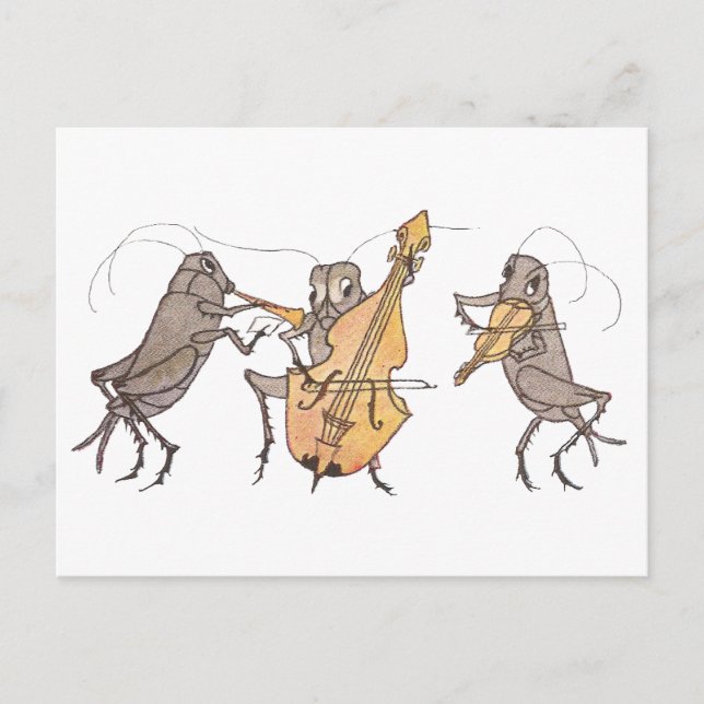 Cricket Band with Horn, Cello & Violin Postcard (Front)