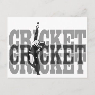 Cricket Bowler Postcard