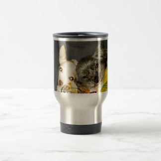 Cricket et tasse de Maybelline