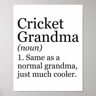 Cricket Grandma Definition Funny Sarcastic Sports  Poster