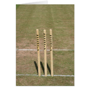 Cricket ground at Bickleigh, Devon, UK