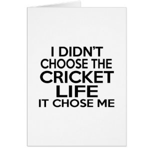CRICKET LIFE DESIGNS