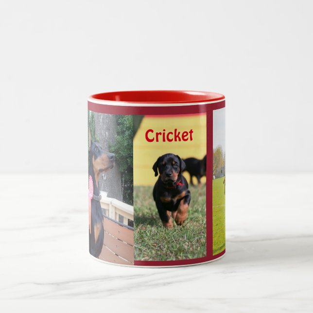 Cricket Mug (Center)